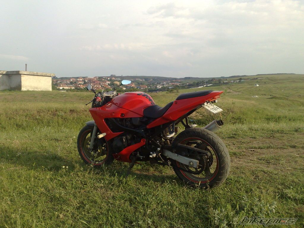 Photo 2405263