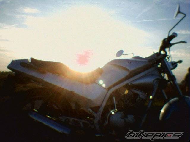 Photo 240697