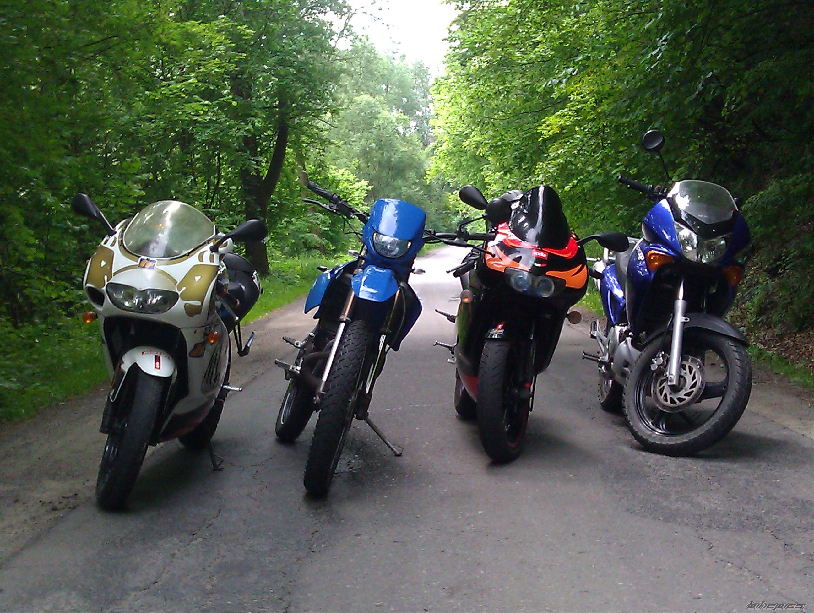 Photo 2407244