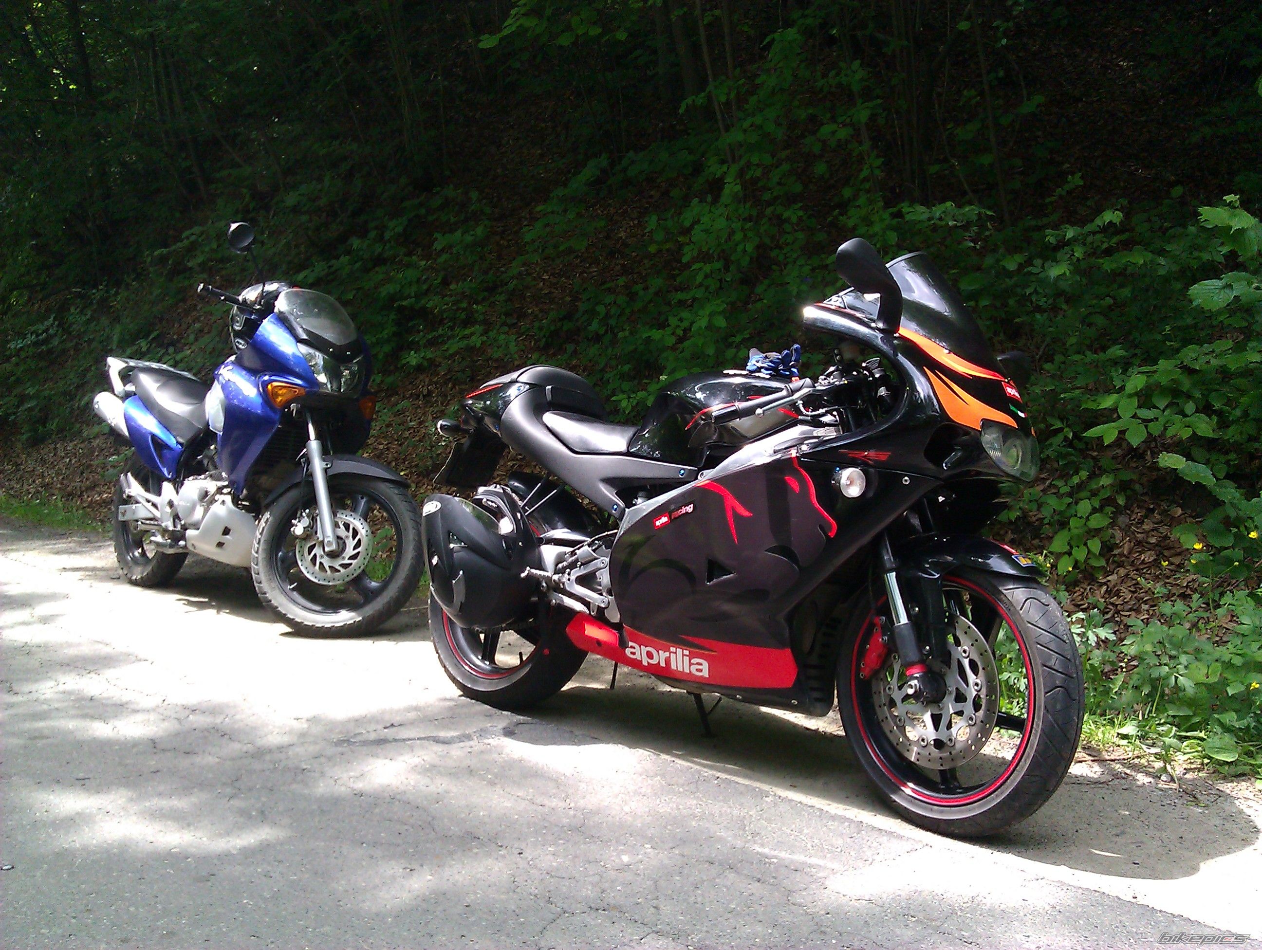 Photo 2407247