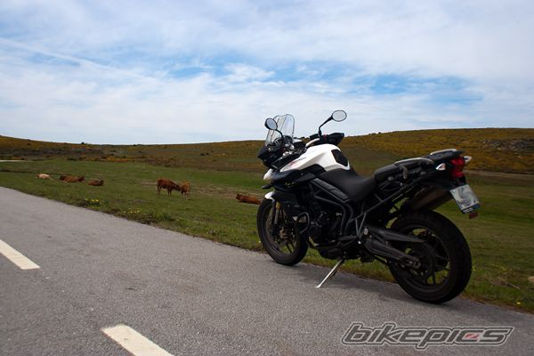Bike Photo 2407878