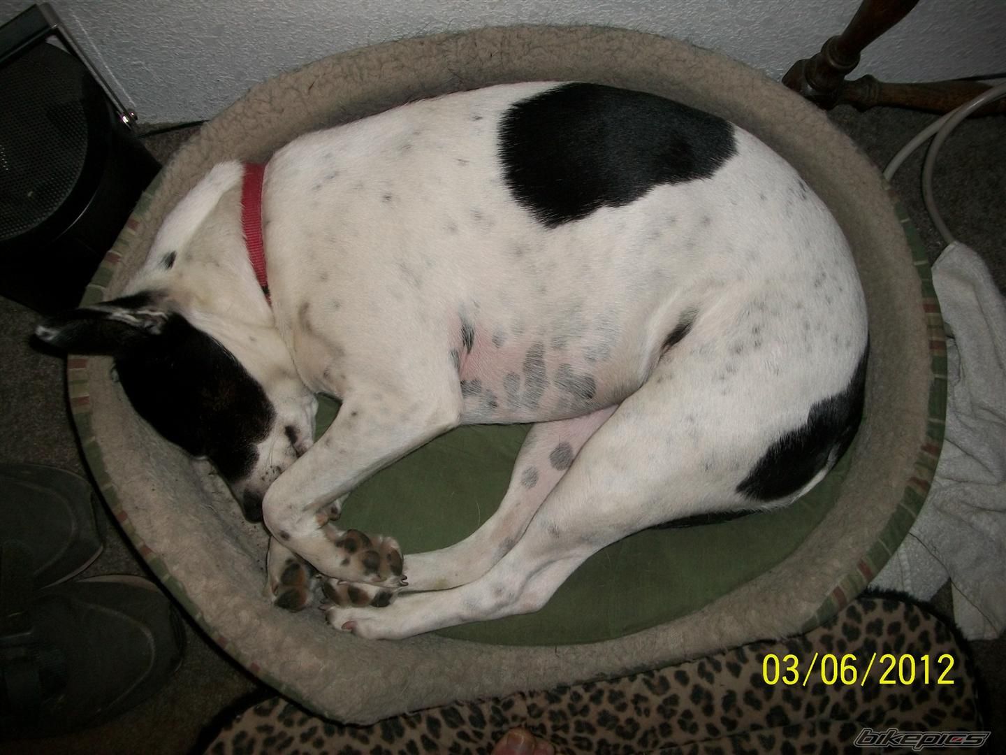 Photo 2410306