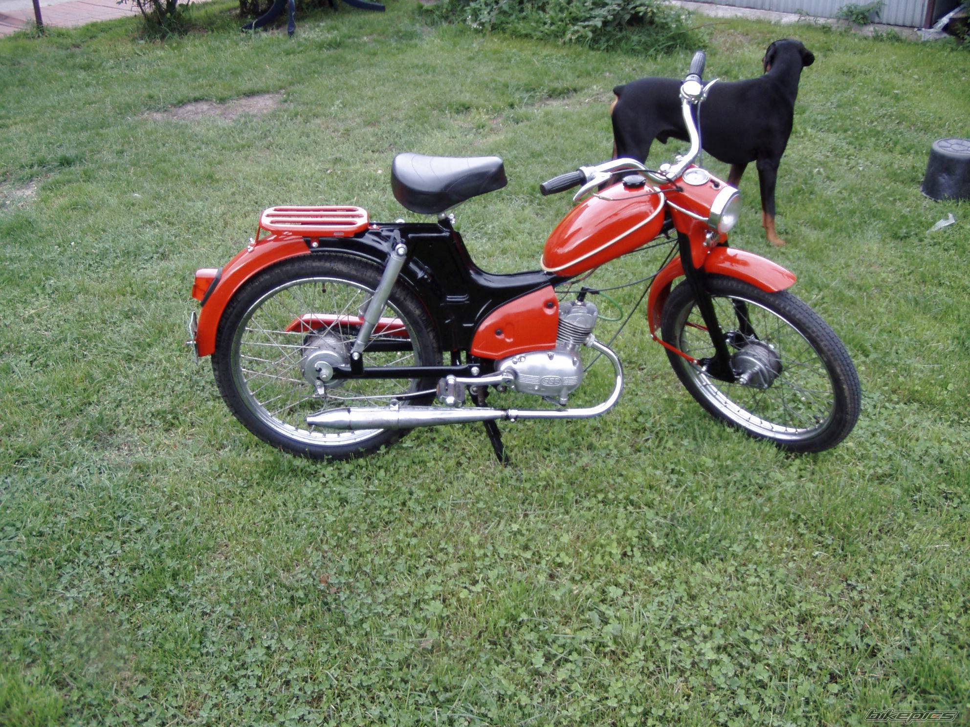 Photo 241311