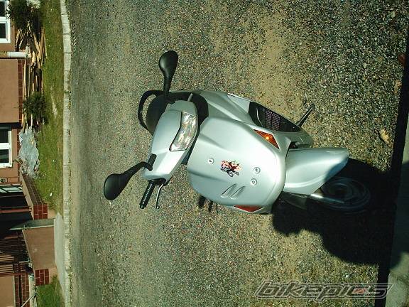 Photo 241333