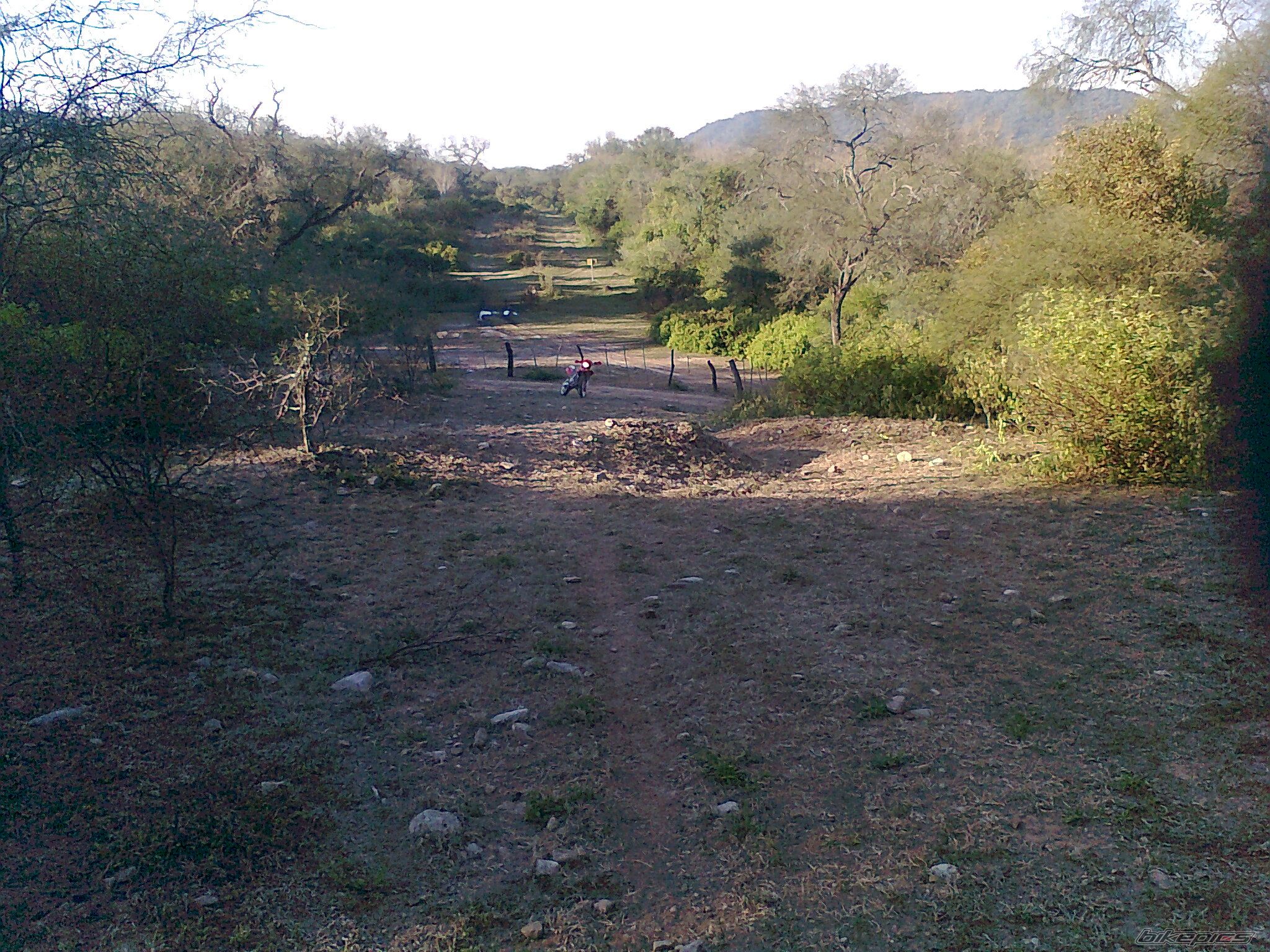 Photo 2421859