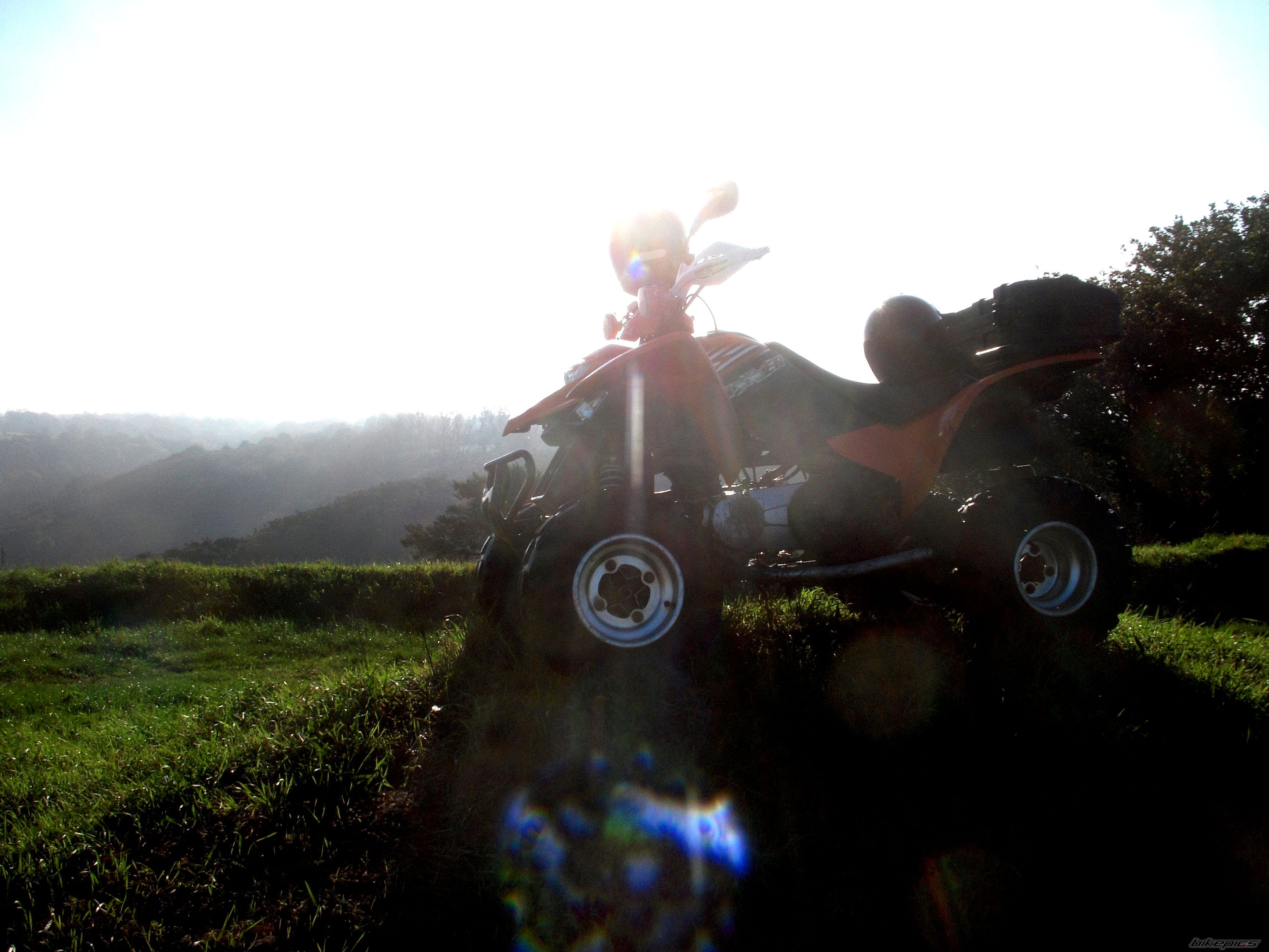 Photo 2421899