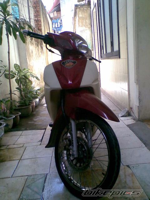 Photo 2424169