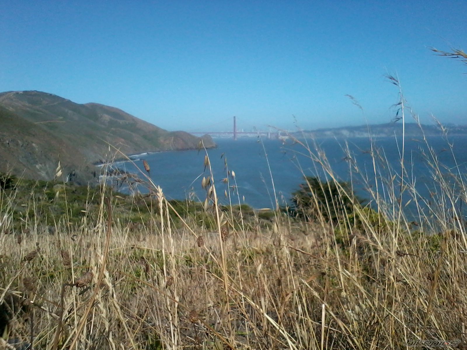 Photo 2424652