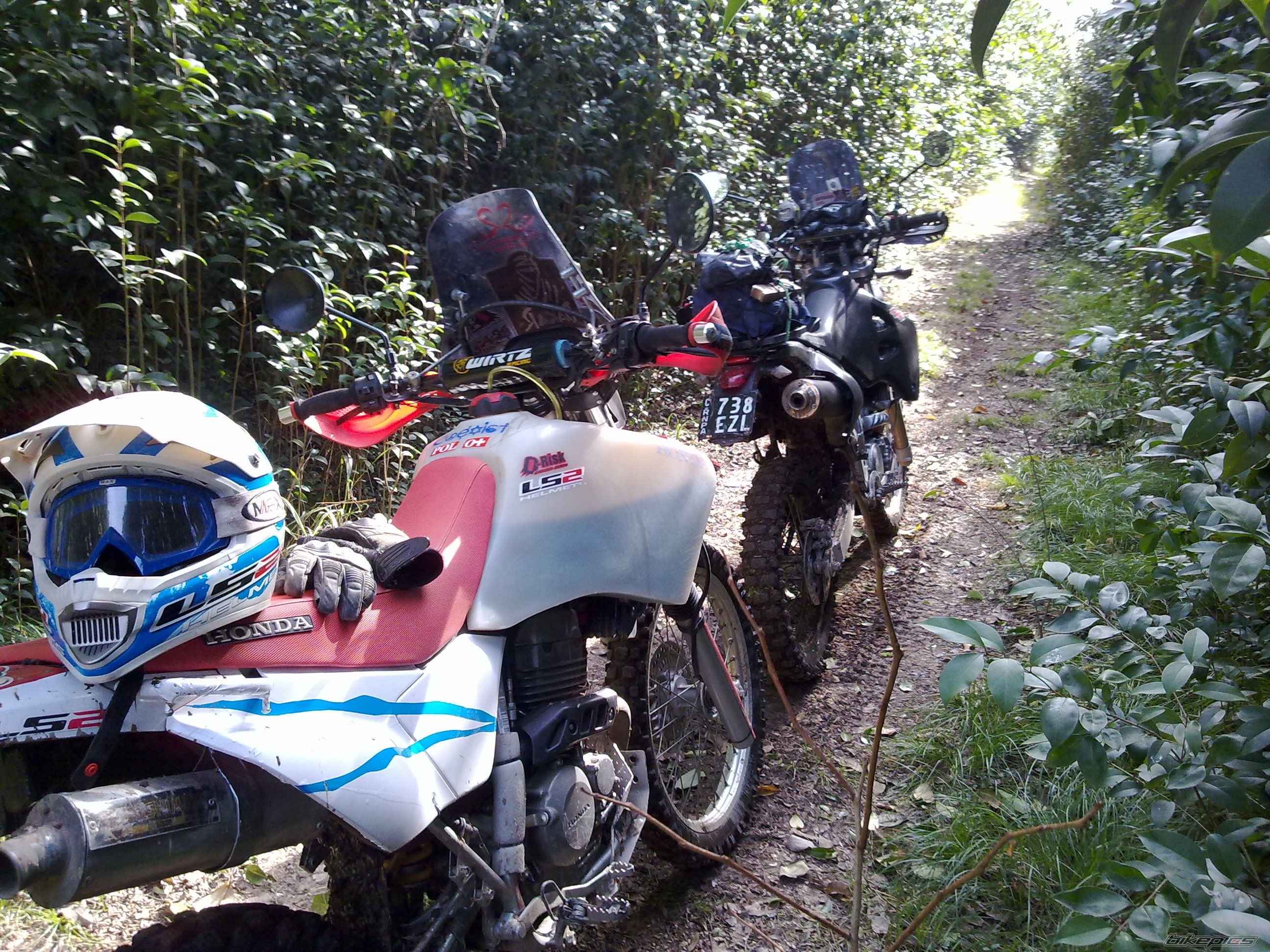 Photo 2424833