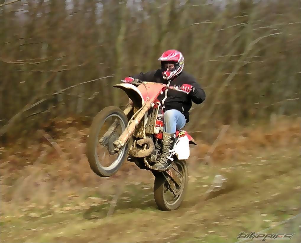 Bike Photo 242544
