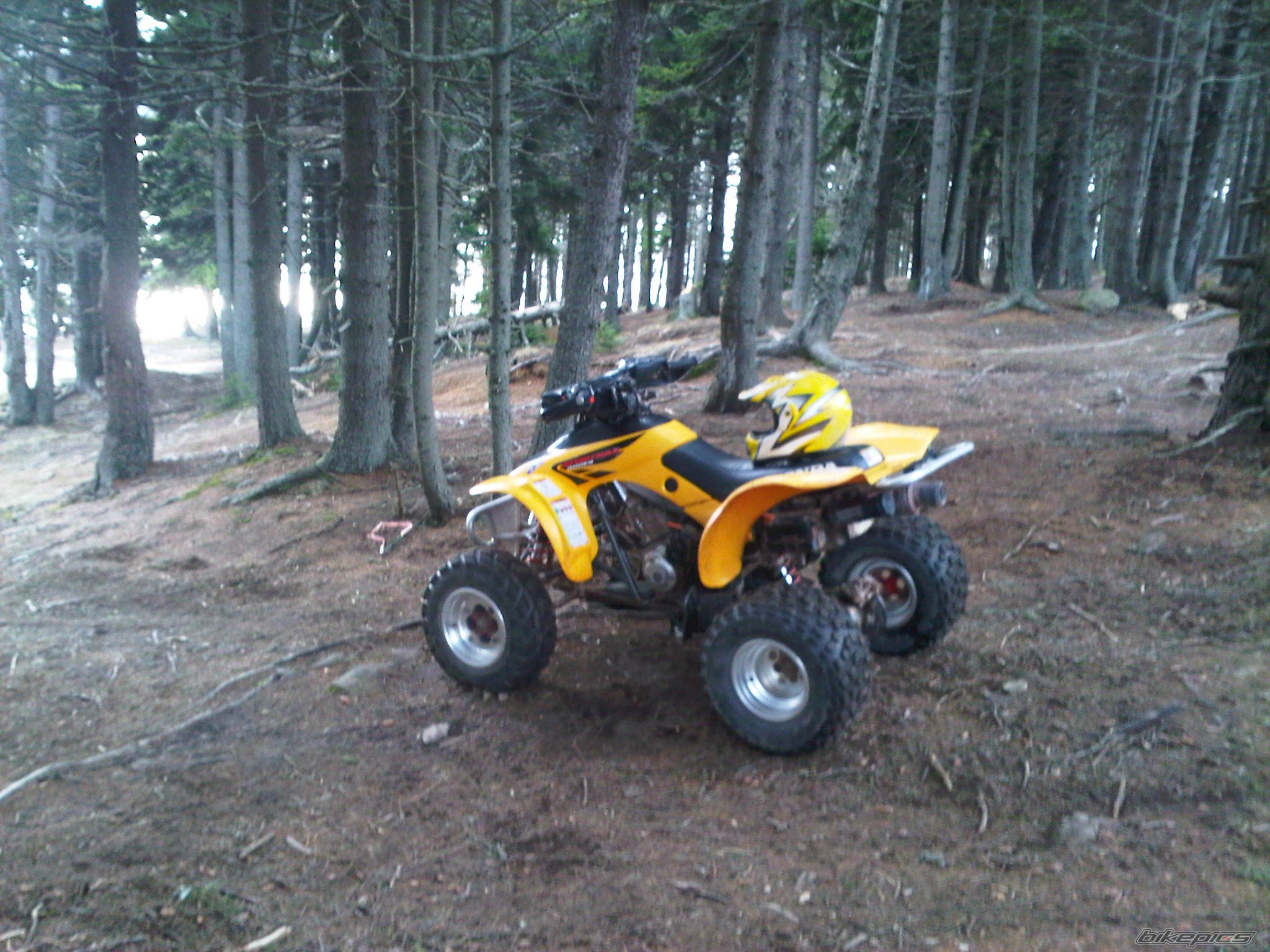 Photo 2425618