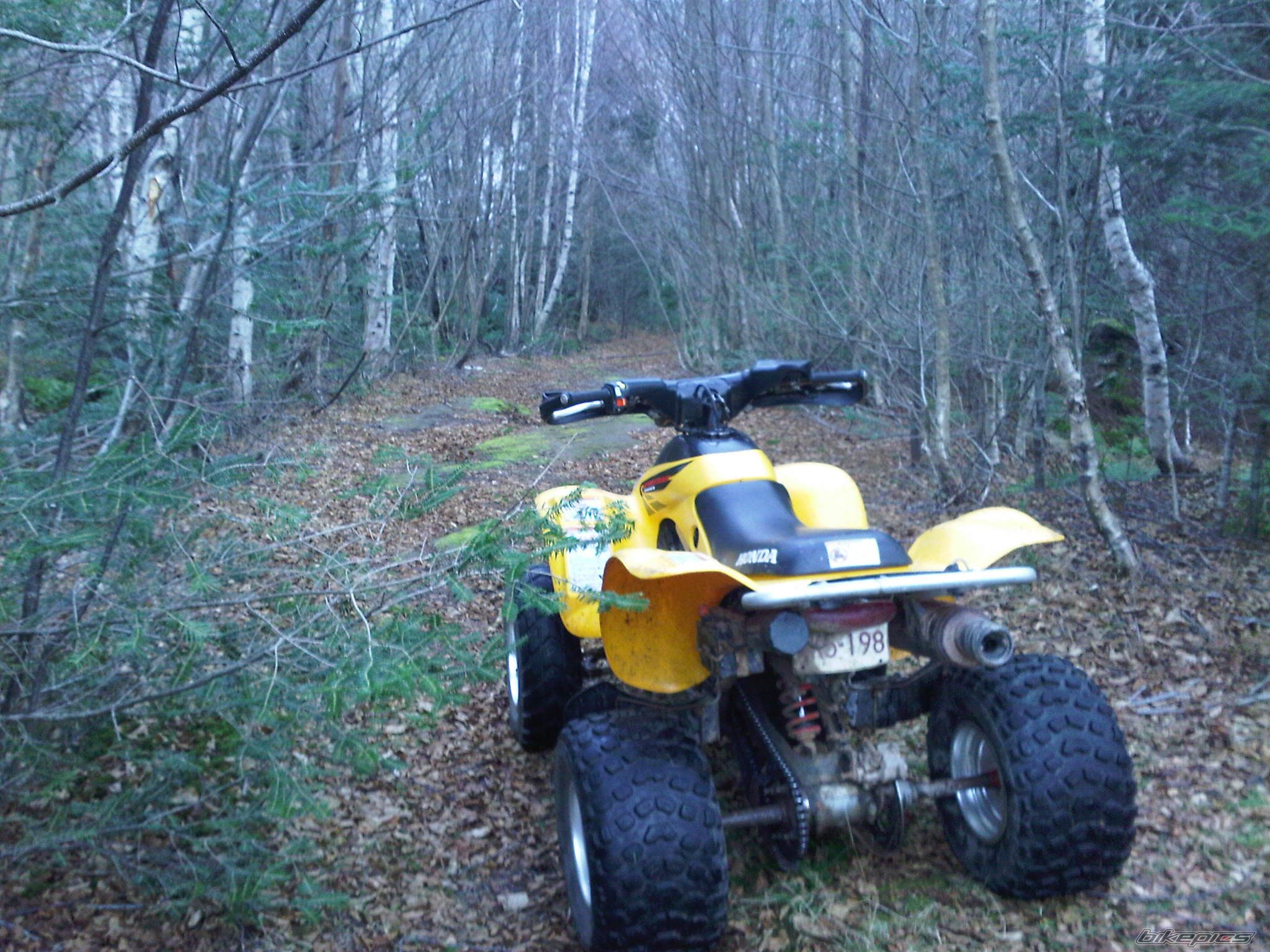 Photo 2425619