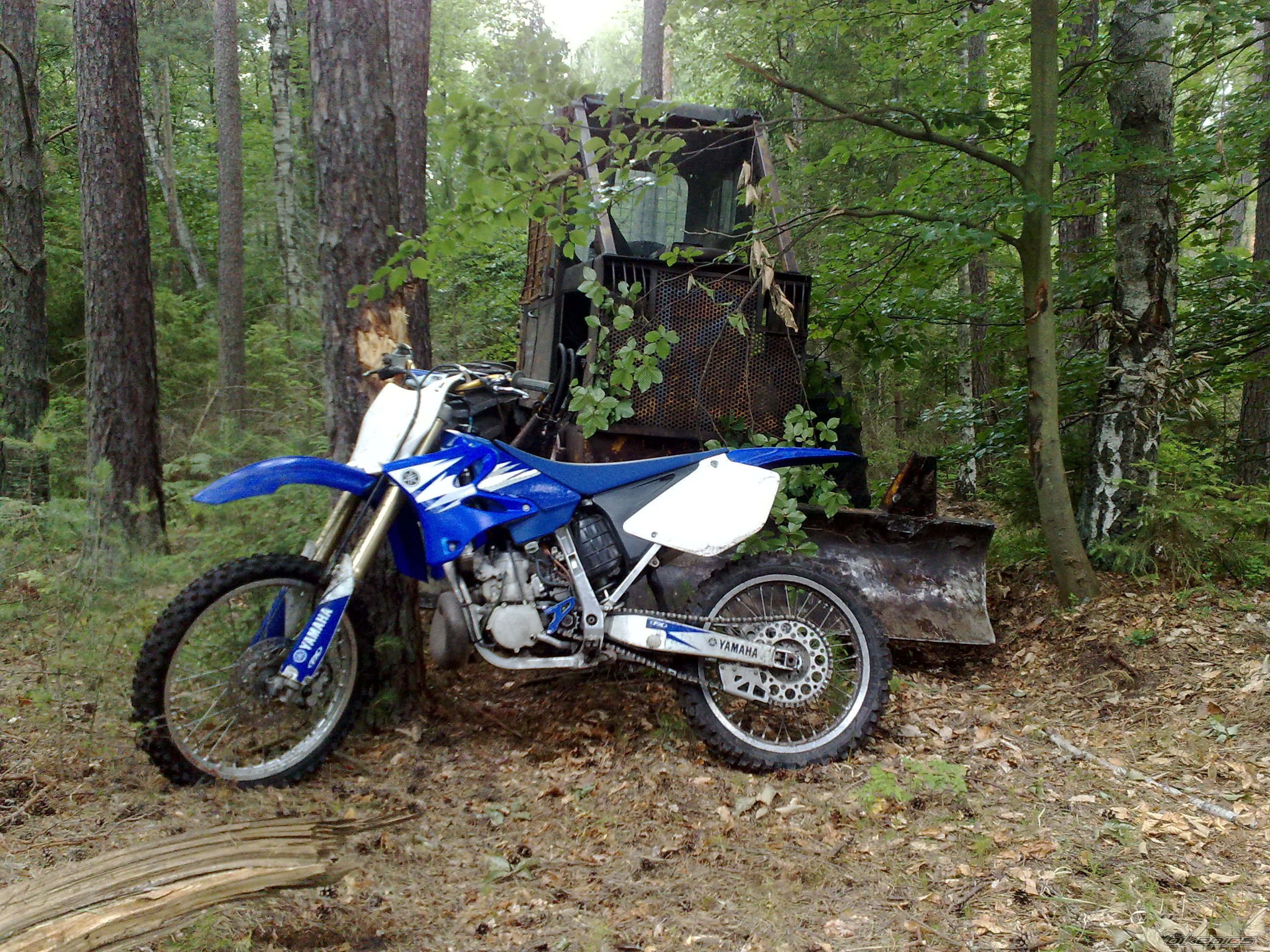 Bike Photo 2428975