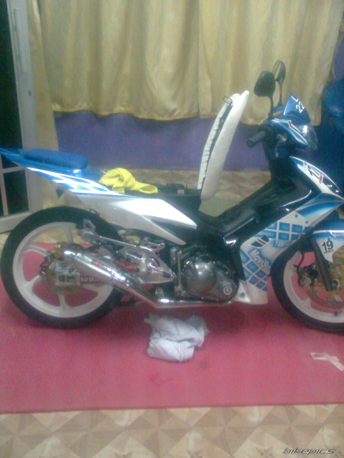 Photo 2429407