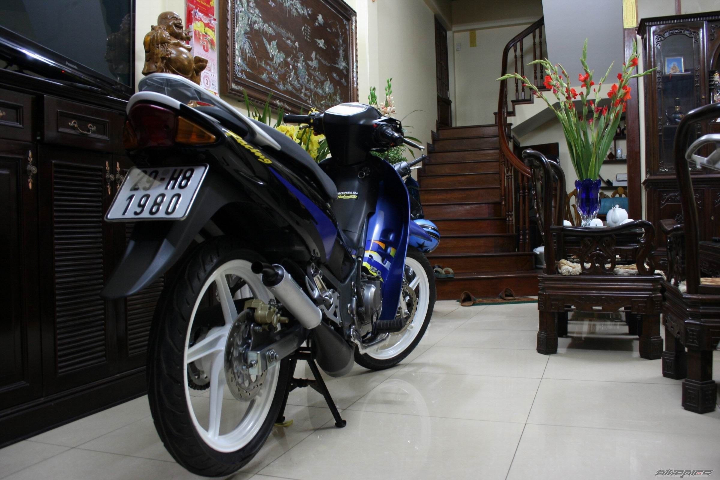 Photo 2430923