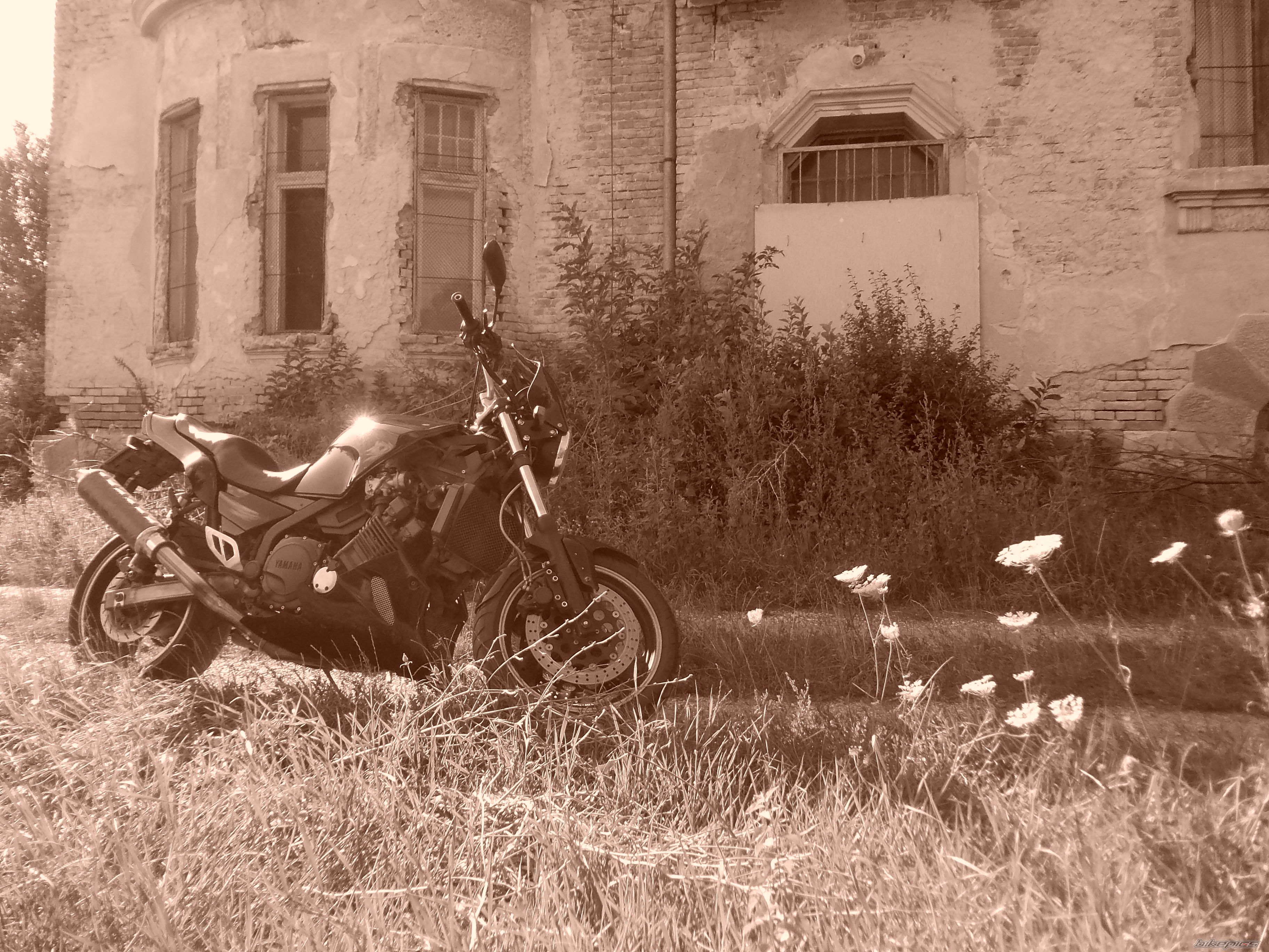Photo 2432197