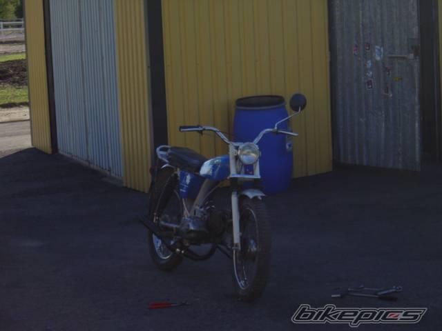Photo 243313