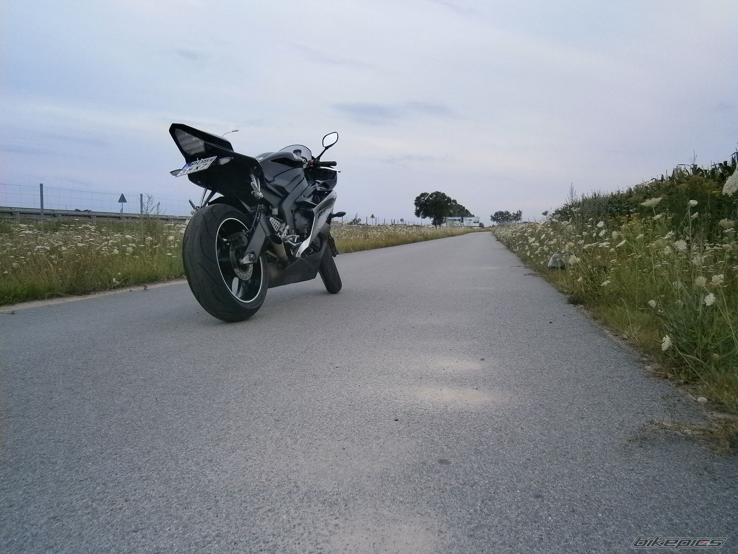 Photo 2435122