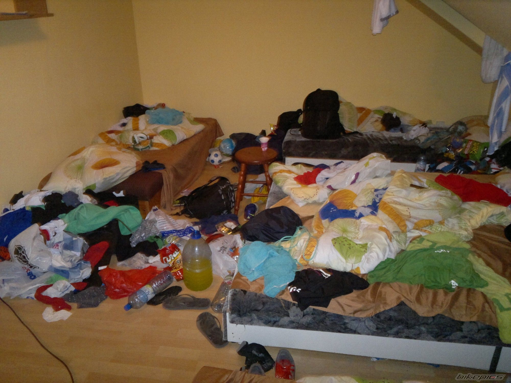 Photo 2437064