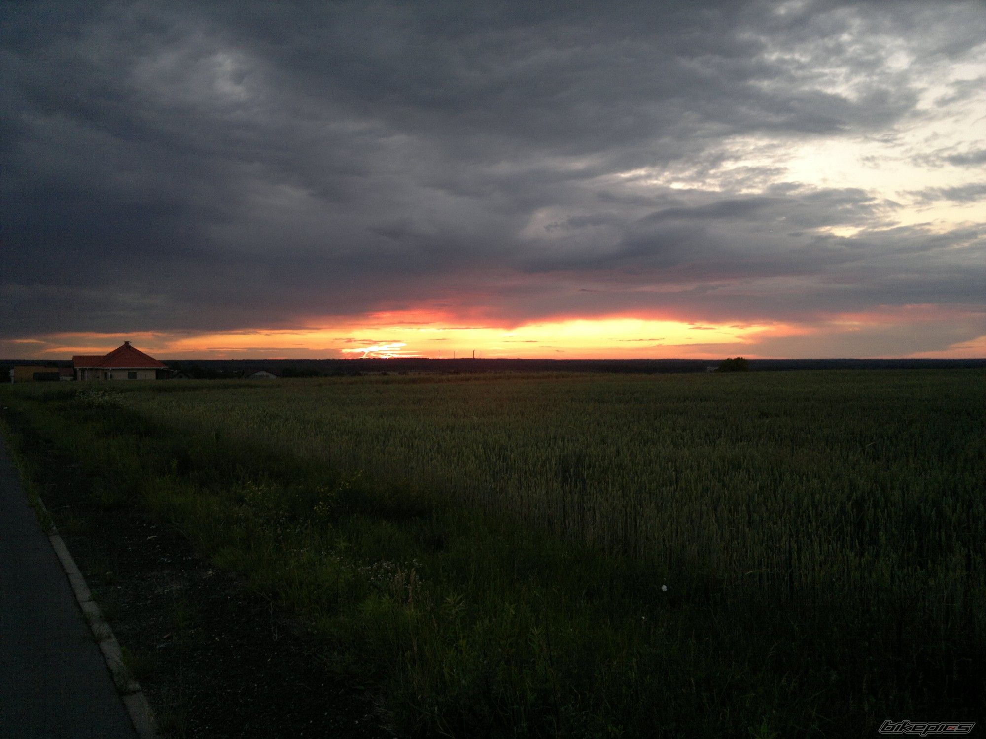 Photo 2437065