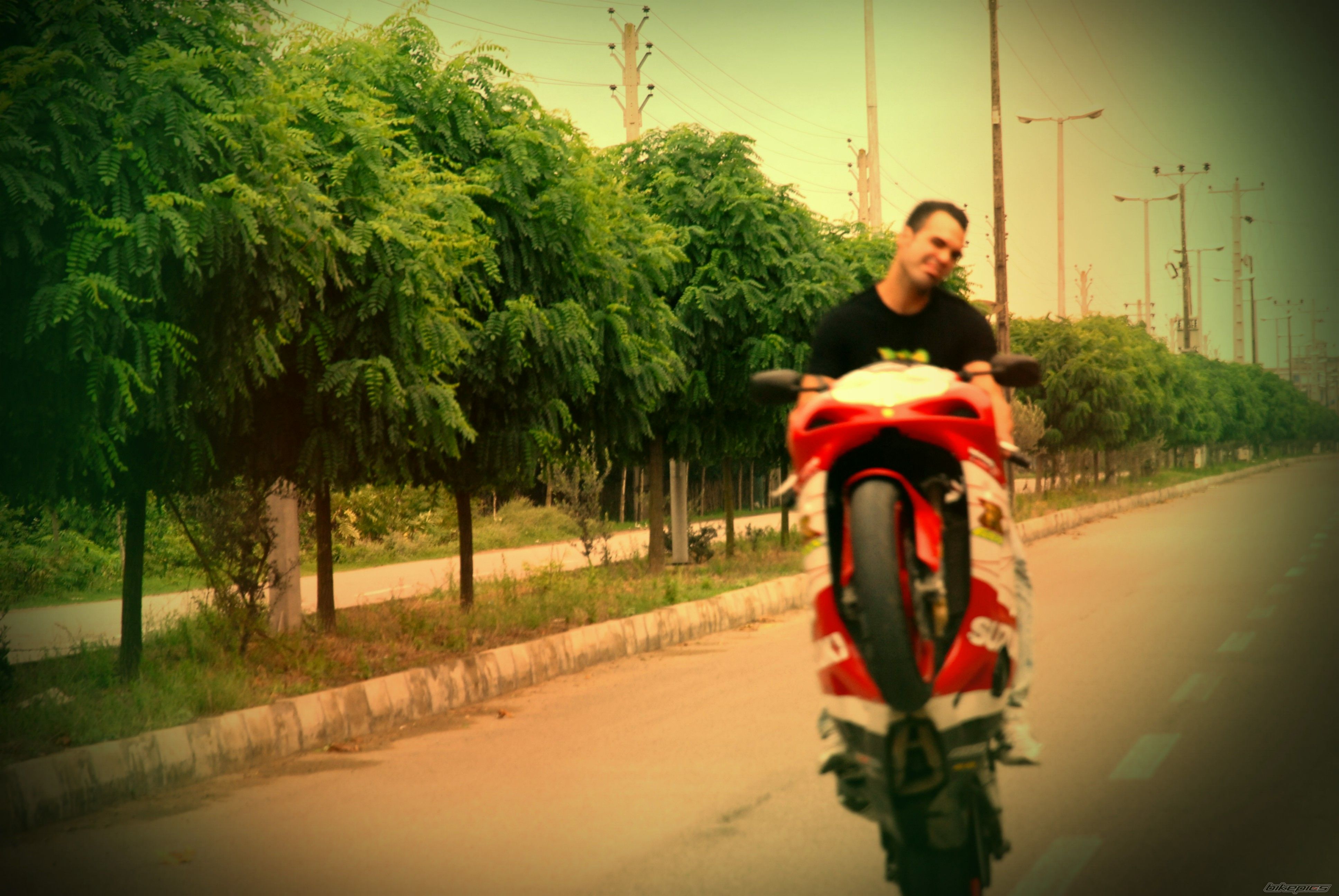 Photo 2437160
