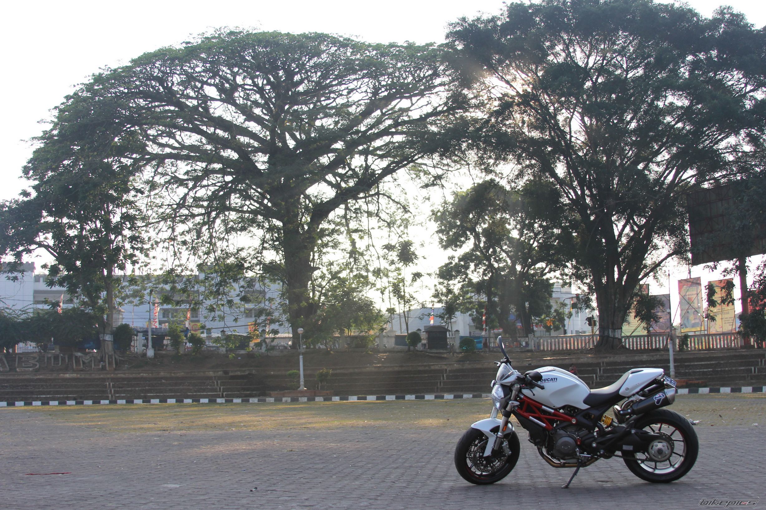 Photo 2437478