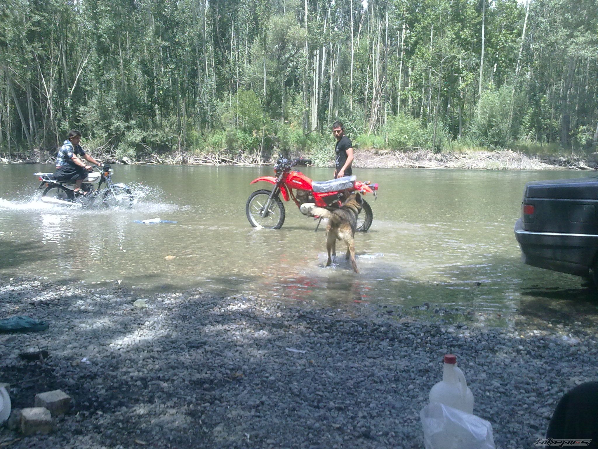 Photo 2438963
