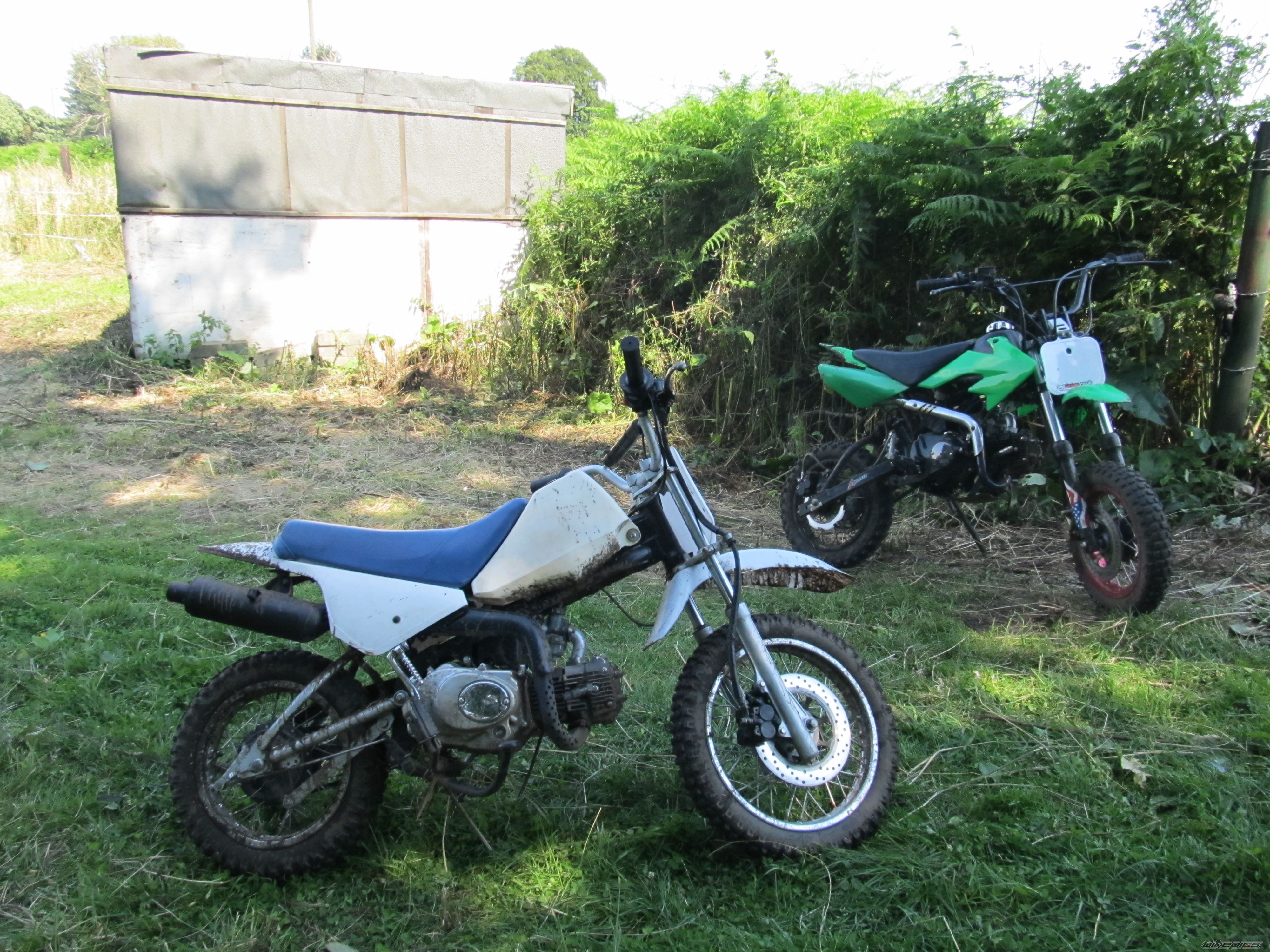 Photo 2439904
