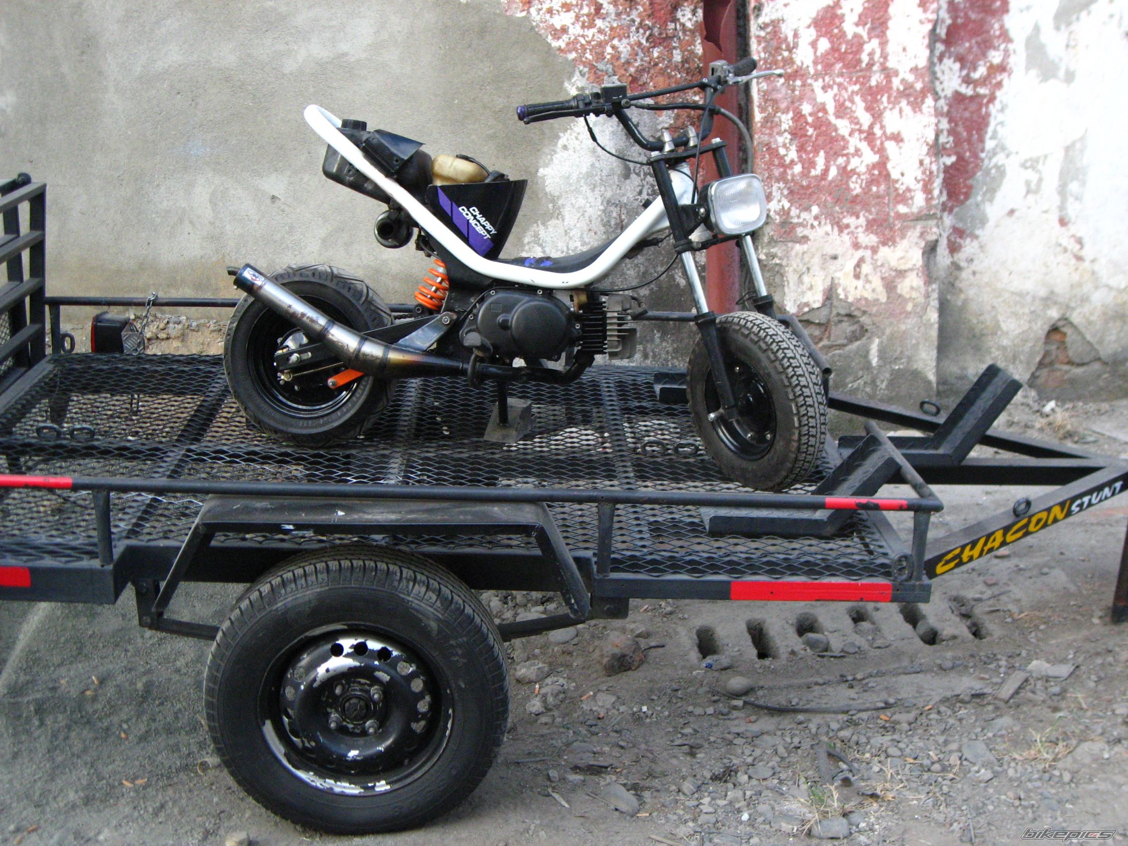 Photo 2439938
