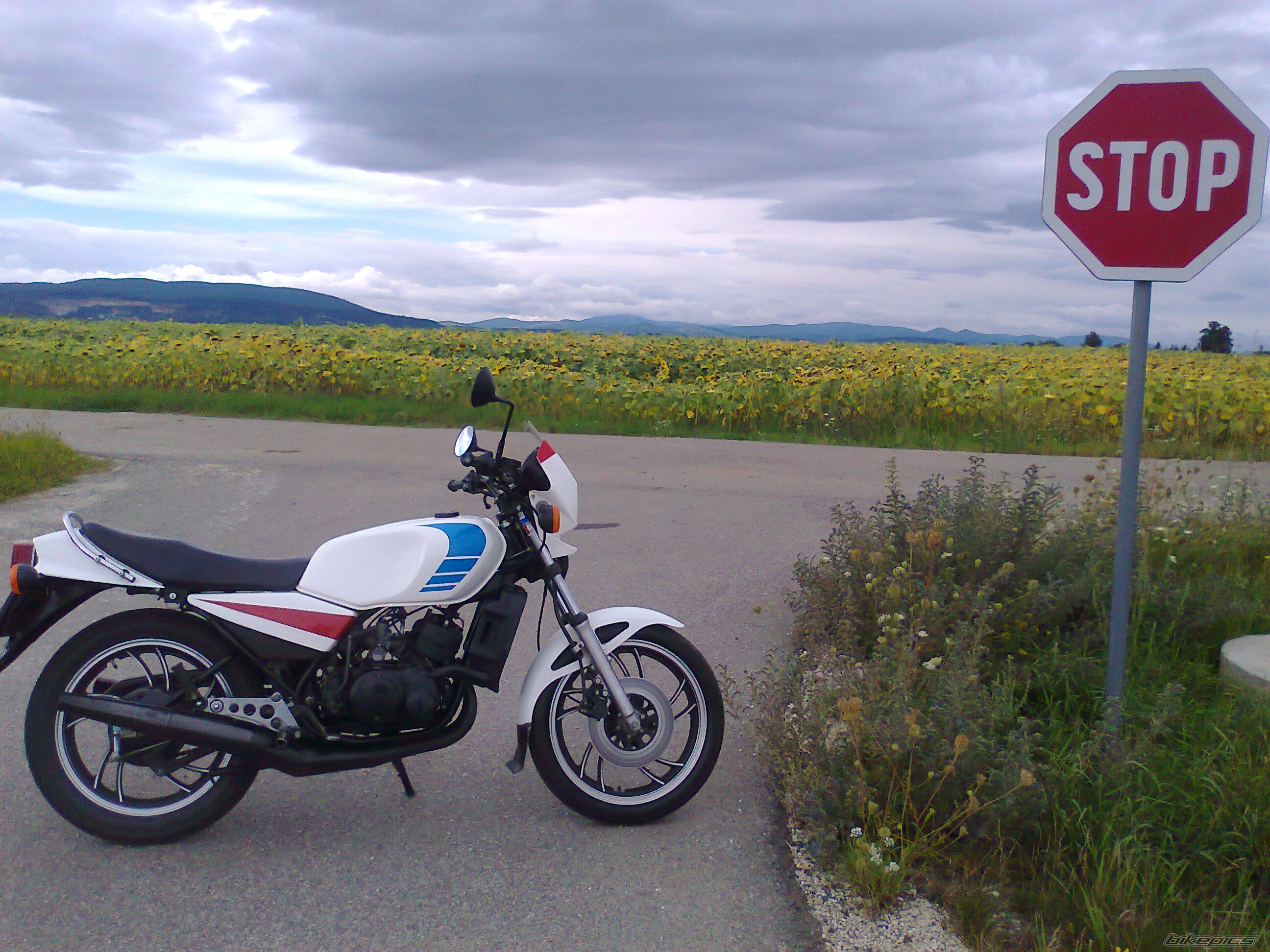 Photo 2440496