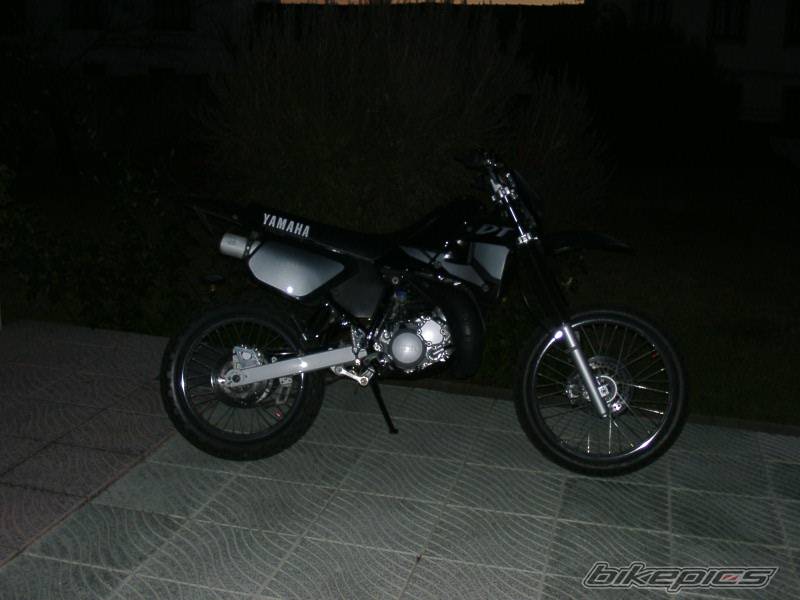 Photo 244216