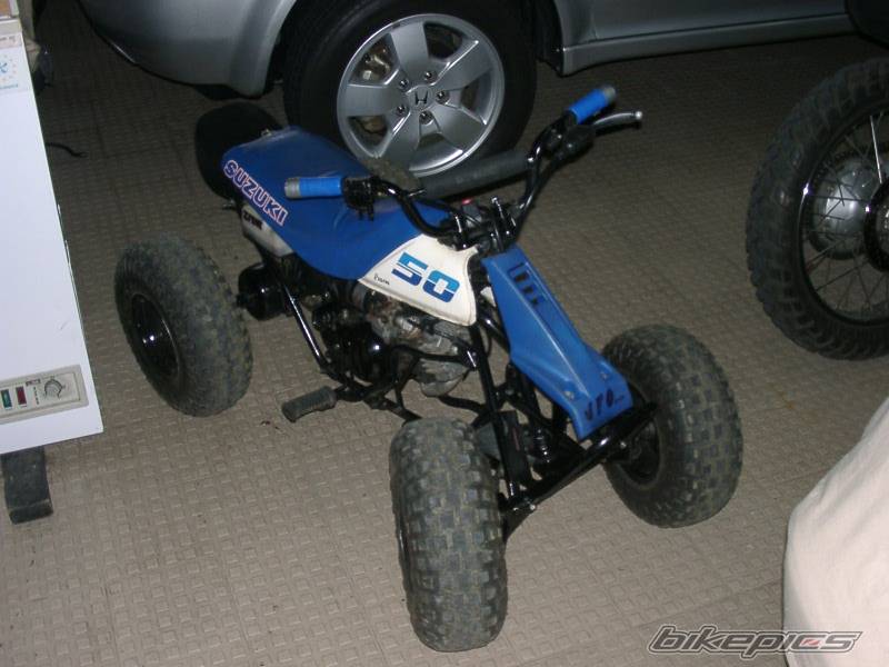 Photo 244222