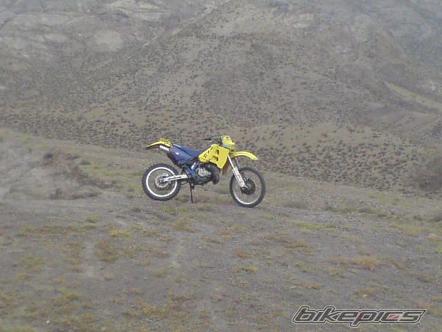 Photo 2445932