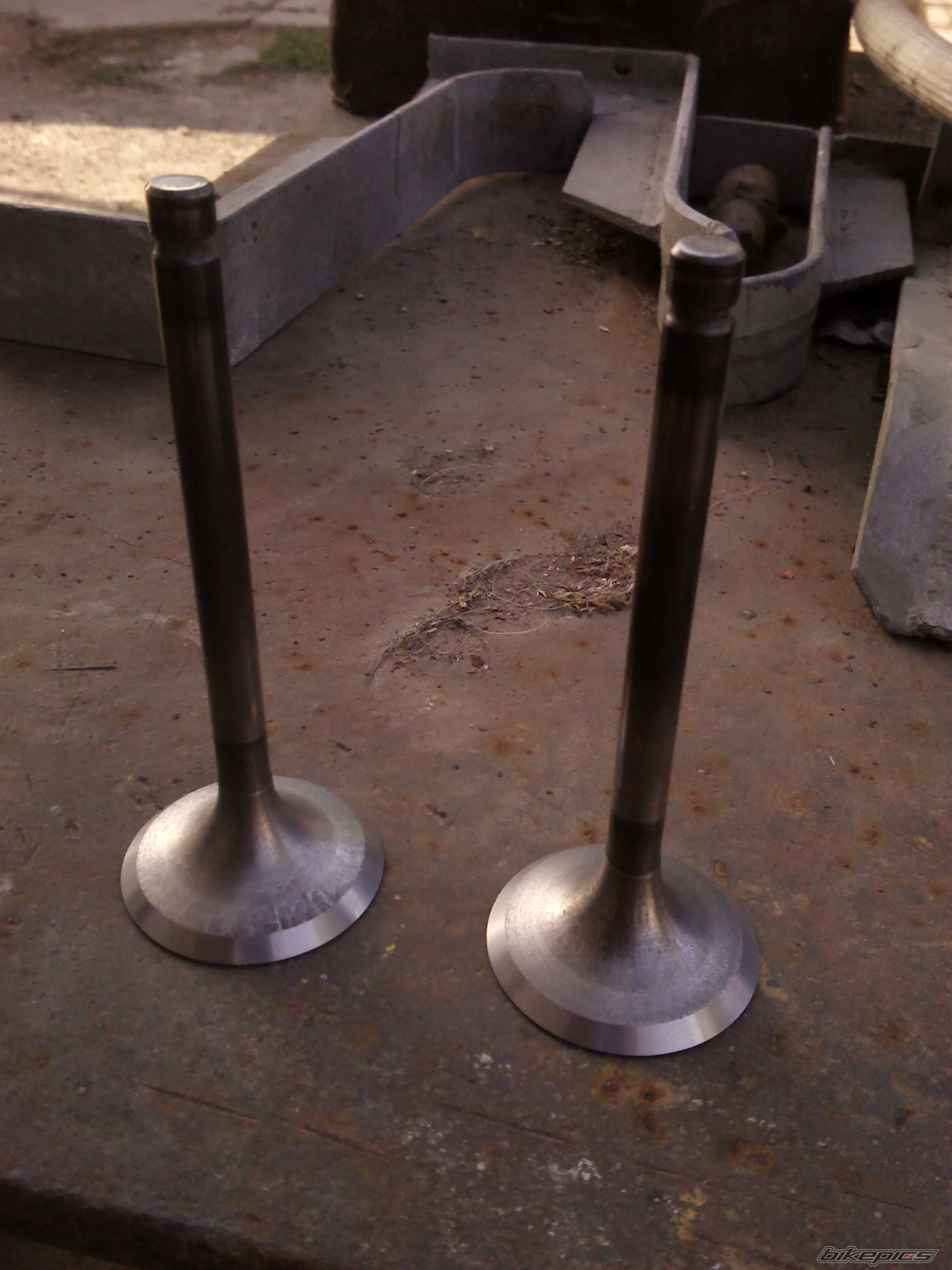Photo 2447138