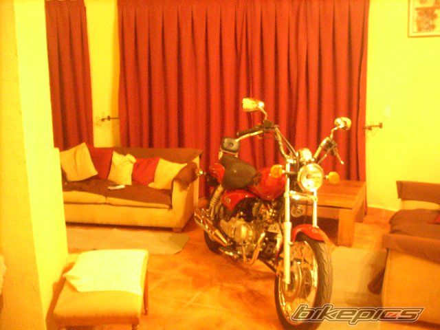 Photo 2447222