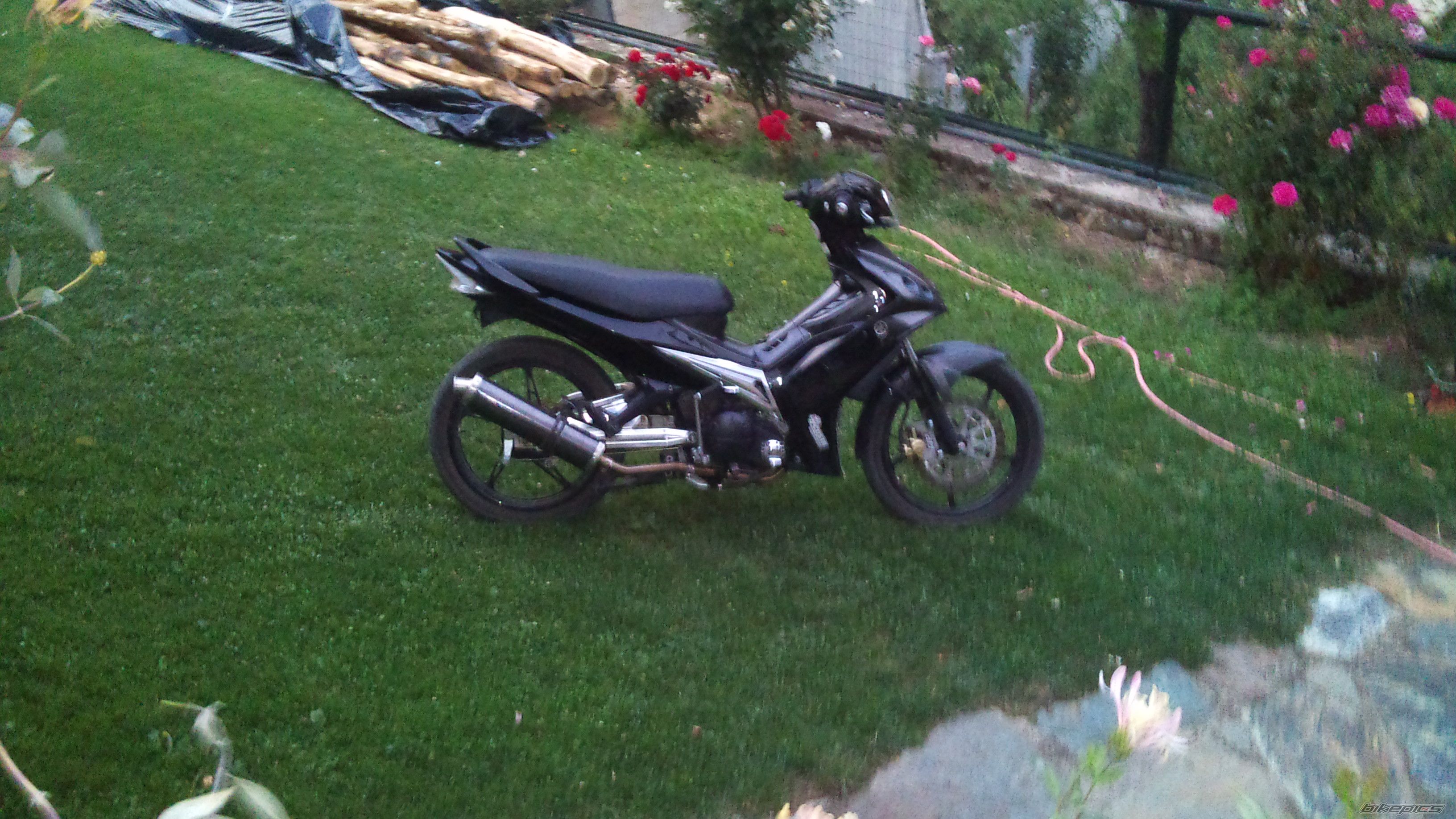 Photo 2448254