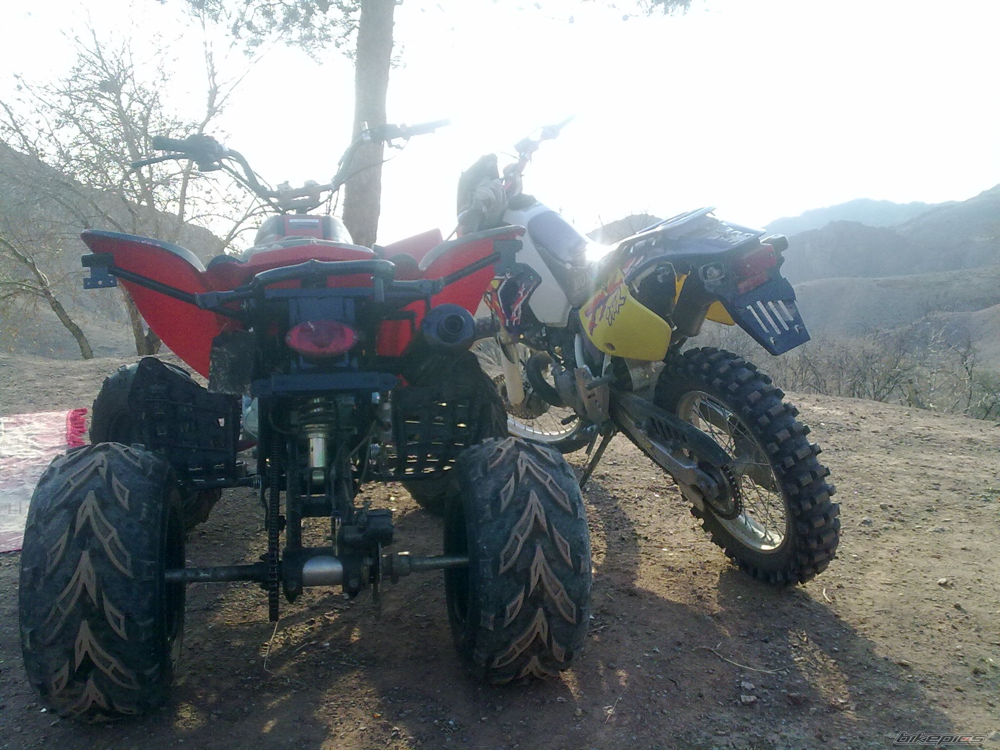 Photo 2449375