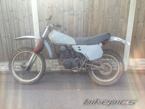 Photo 2453412