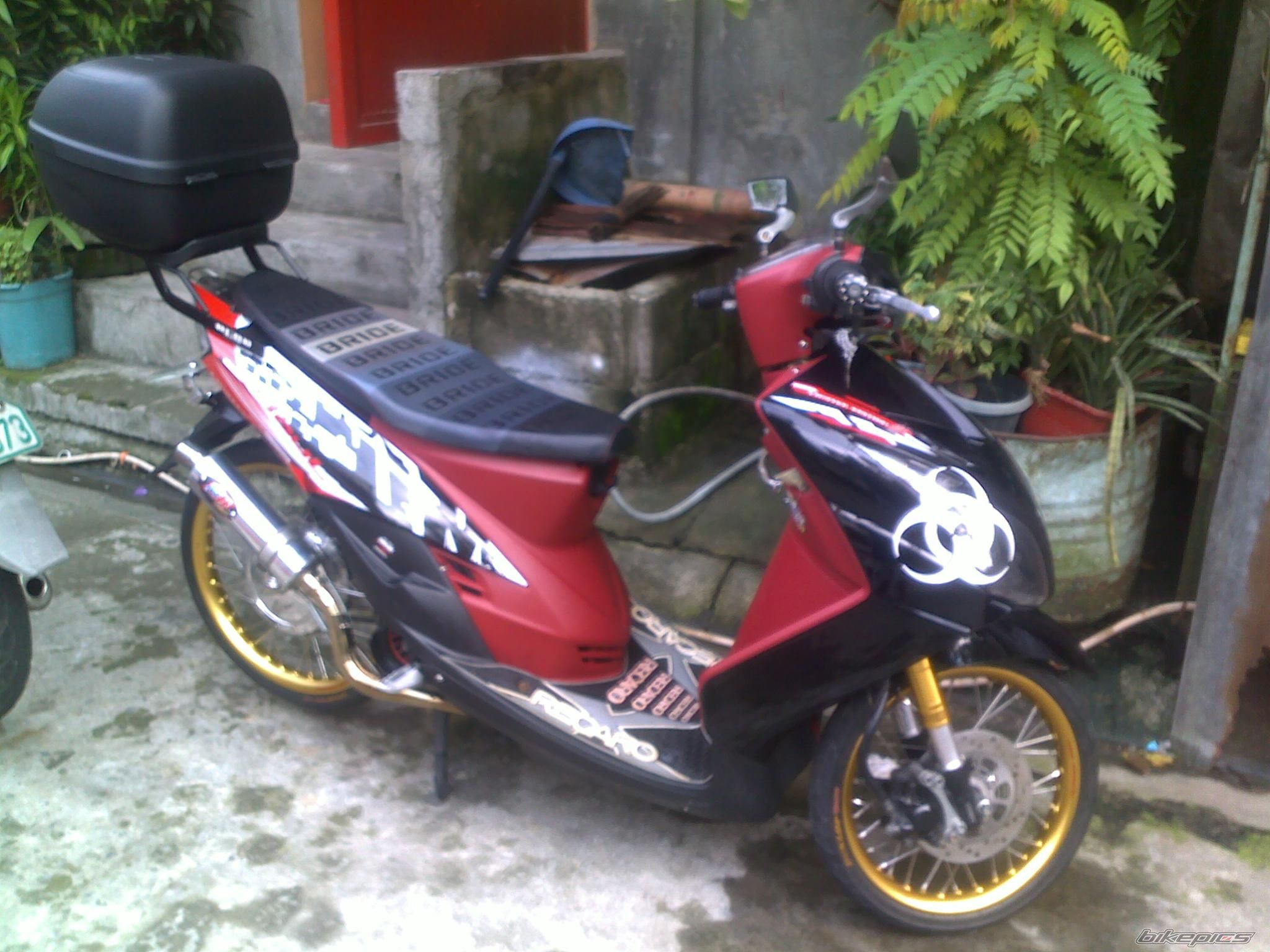 Photo 2454294