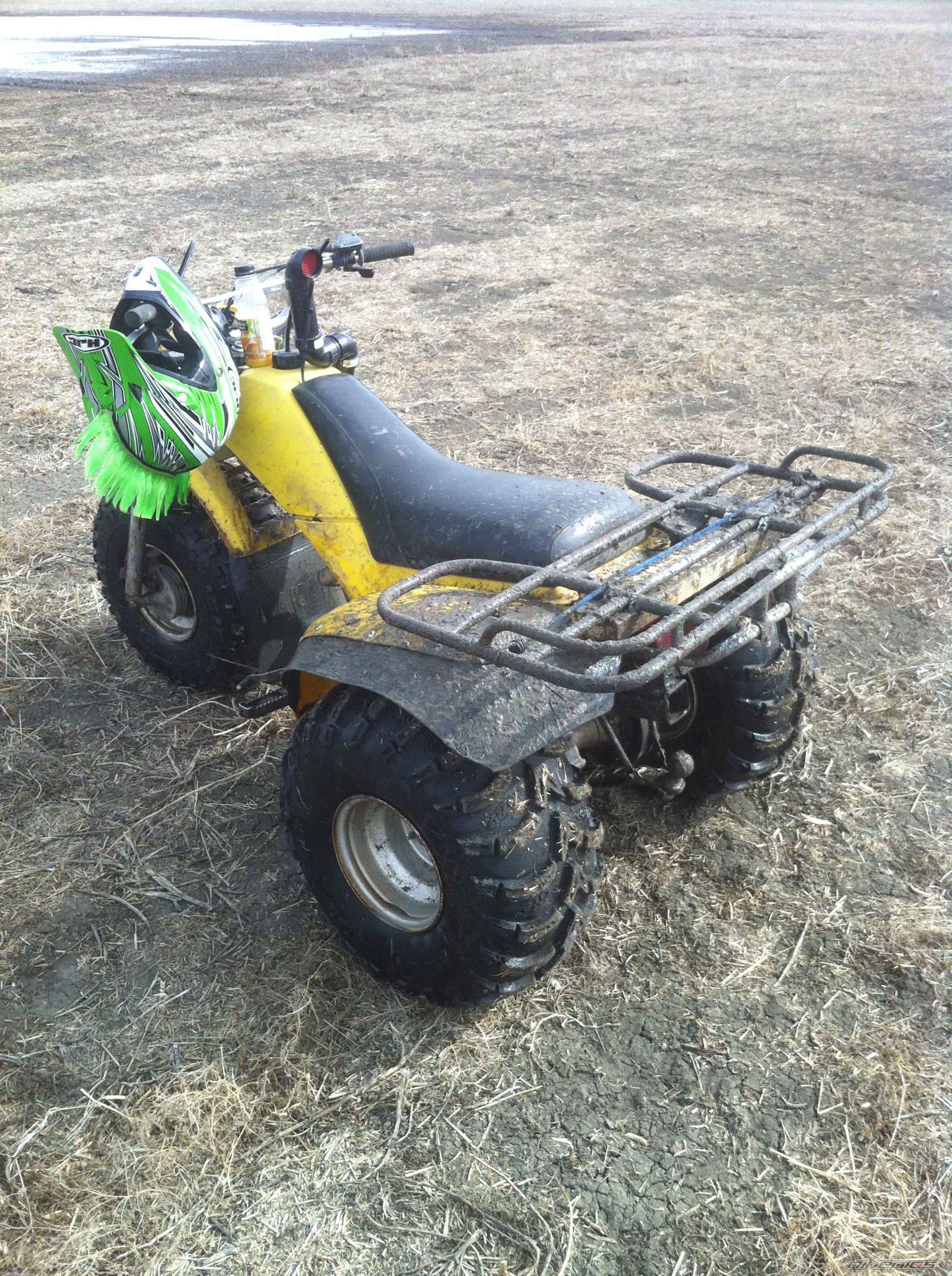 Photo 2456728