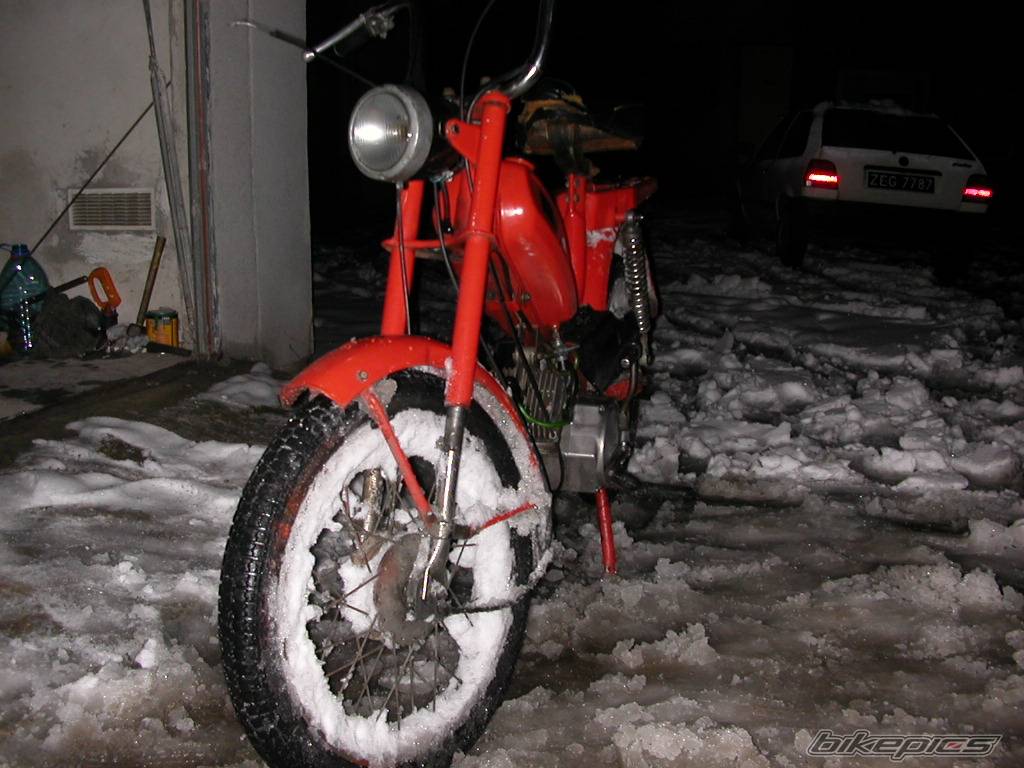 Photo 245830