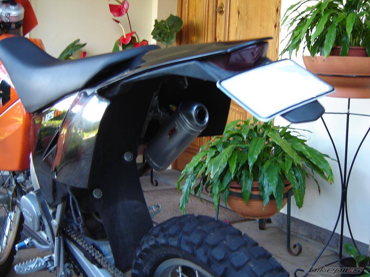 Photo 245938