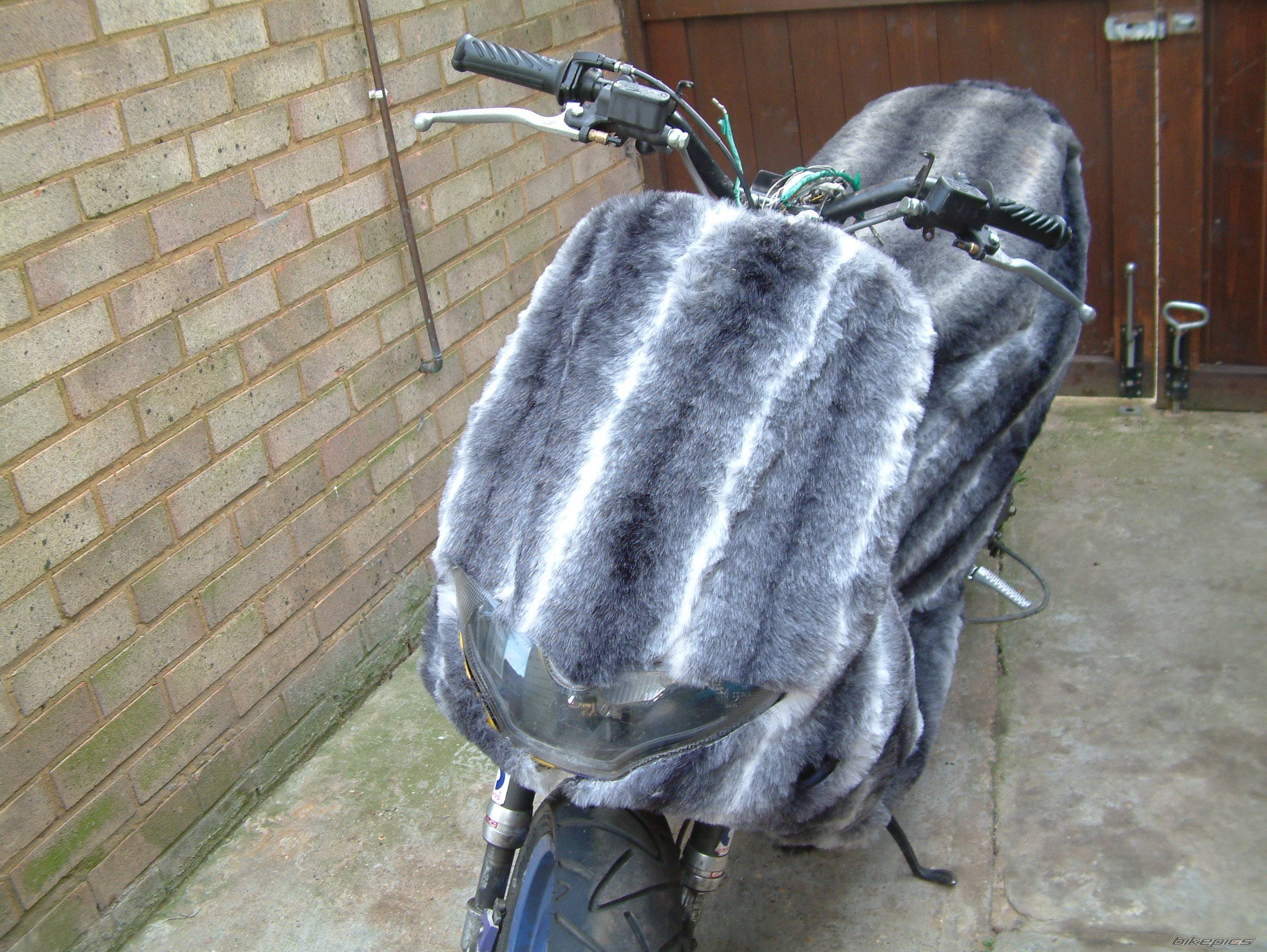 Bike Photo 246017