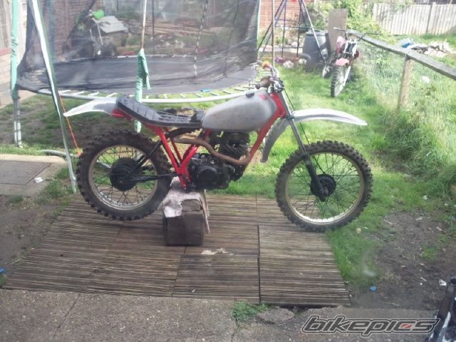 Photo 2461279