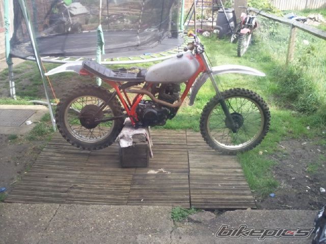 Photo 2461282