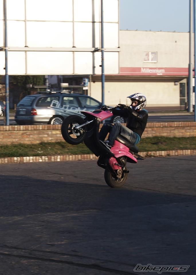 Photo 2463621