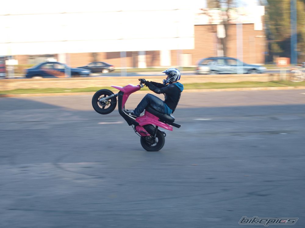 Photo 2463631