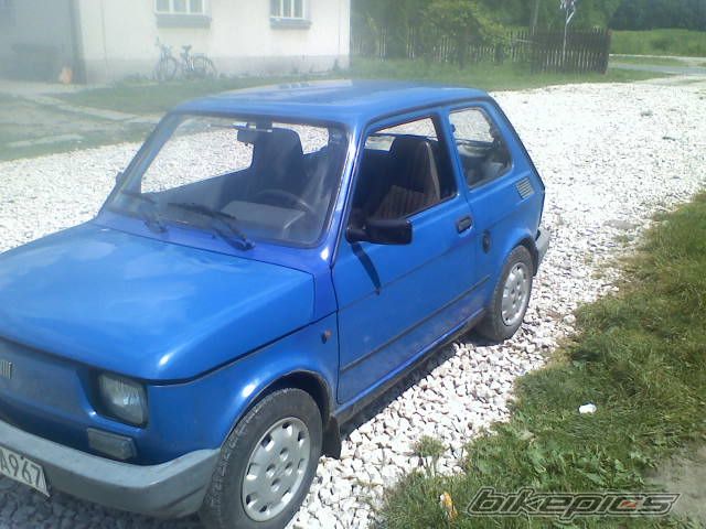 Photo 2465806