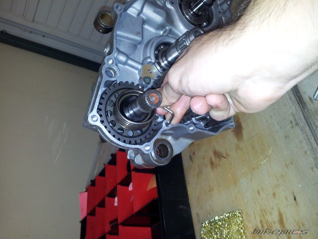 Photo 2465928