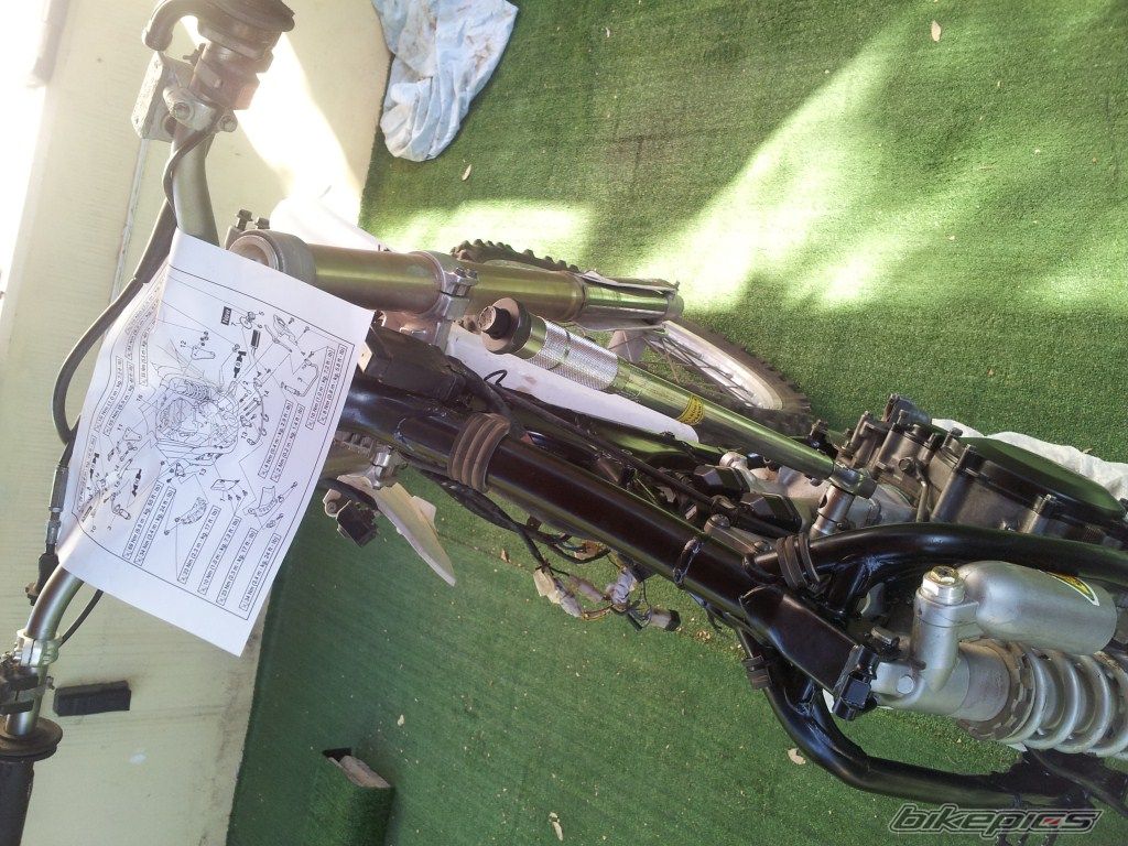 Photo 2465949